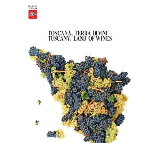 Guida ai vini a denominazione (DOCG, DOC e IGT)