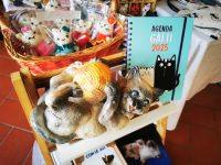IMG_20250216_104826