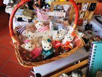 IMG_20250216_104828