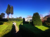IMG_20250216_105031