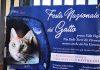 Festa del Gatto 2025 al Quartiere 4 | Per i felini e i loro amici