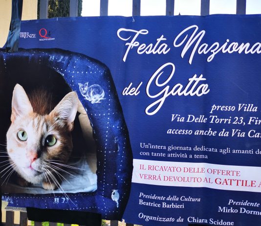 Festa del Gatto 2025 al Quartiere 4 | Per i felini e i loro amici