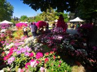 Firenze-Giardino-Orticoltura-001