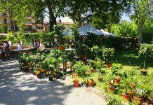 Mostra Mercato di Piante e Fiori di Firenze