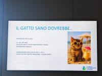 IMG_20260523_104617