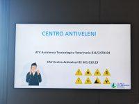 IMG_20260523_120634