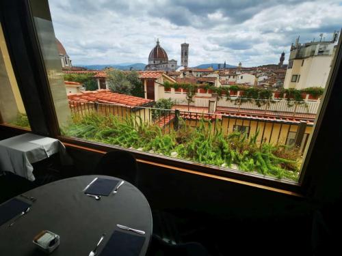 Firenze-B-roof