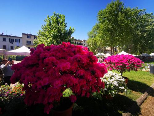 Firenze-Giardino-Orticoltura-002