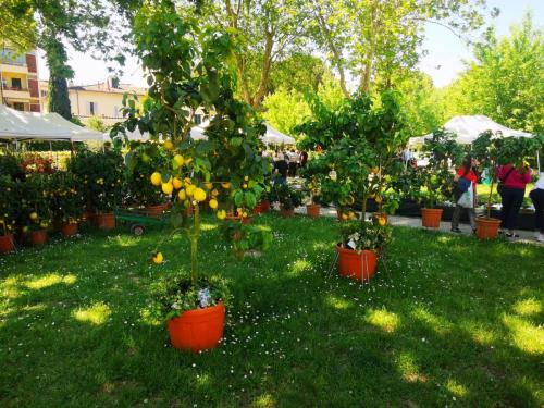 Firenze-Giardino-Orticoltura-009